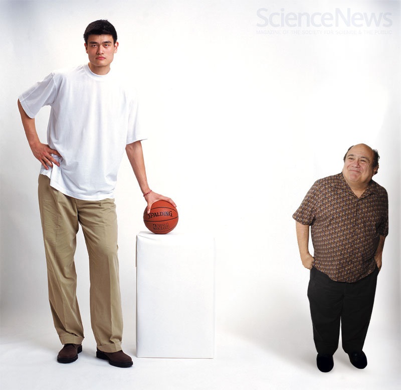 Был неуклюж толстый выше обыкновенного. Высокий и низкий человек. Люди разного роста. Человек невысокого роста. Человек небольшого роста.