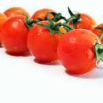 free-photo-tomato-802