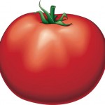Tomate