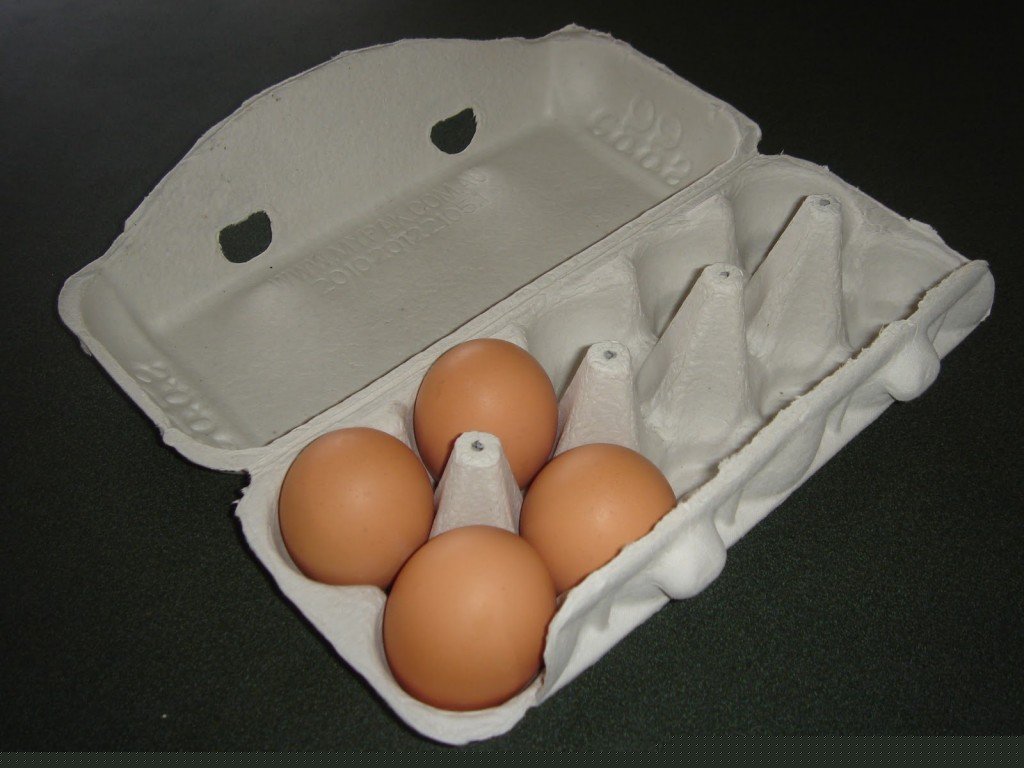 Eggs 003